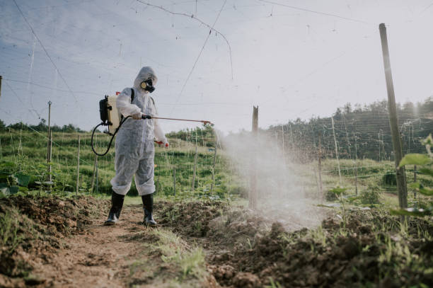 Best Affordable Pest Control Services  in Sardinia, OH