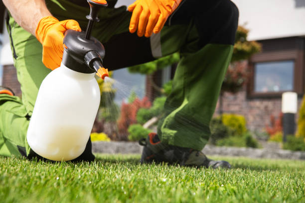 Best Mosquito Control Services  in Sardinia, OH