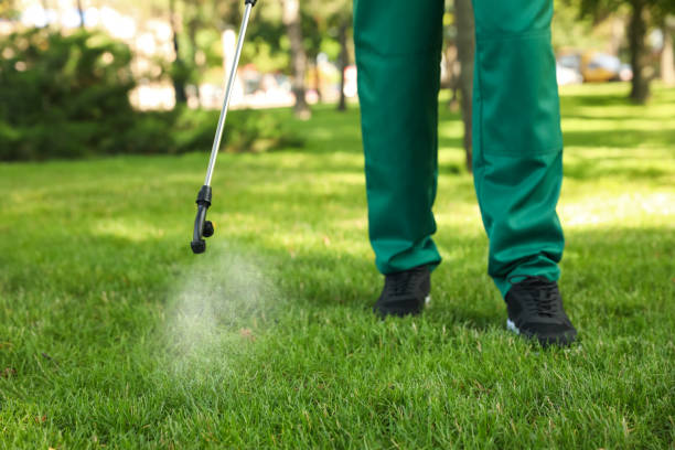 Best Local Pest Control Services  in Sardinia, OH