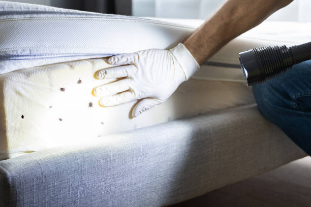 Best Pest Control for Restaurants  in Sardinia, OH