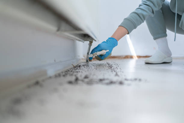 Best Pest Inspection Near Me  in Sardinia, OH
